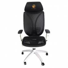 E-Dra Venus Gaming chair - EGC211